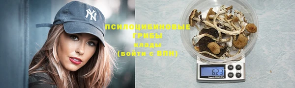 прущий лед Алексеевка