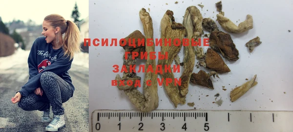 прущий лед Алексеевка