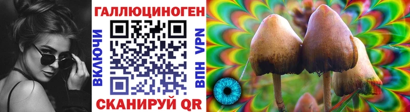где найти наркотики  Осинники  Галлюциногенные грибы Cubensis 
